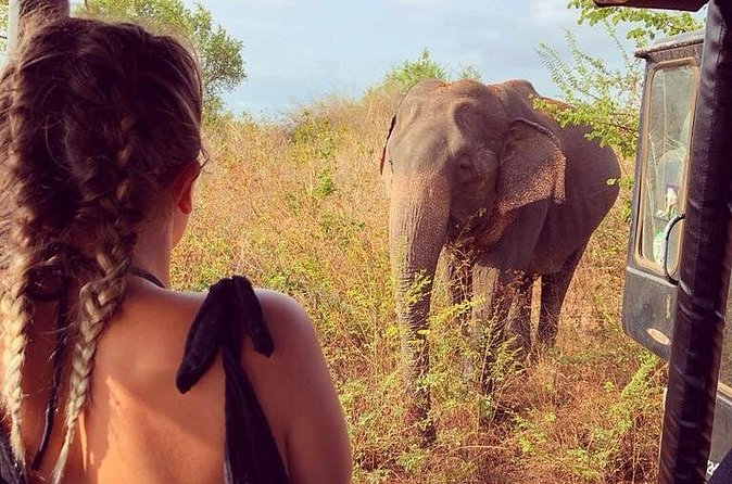 Day Excursions to Udawalawe From Wadduwa - Final Thoughts