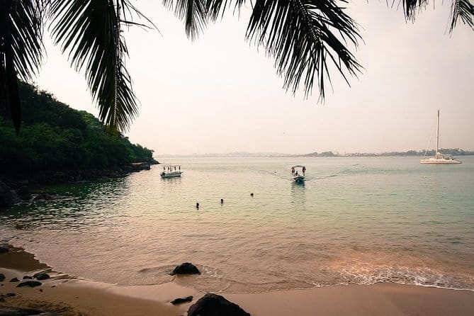 Galle Day Tour with Jungle Beach Experience from Colombo - A Deep Dive into the Galle Day Tour Experience