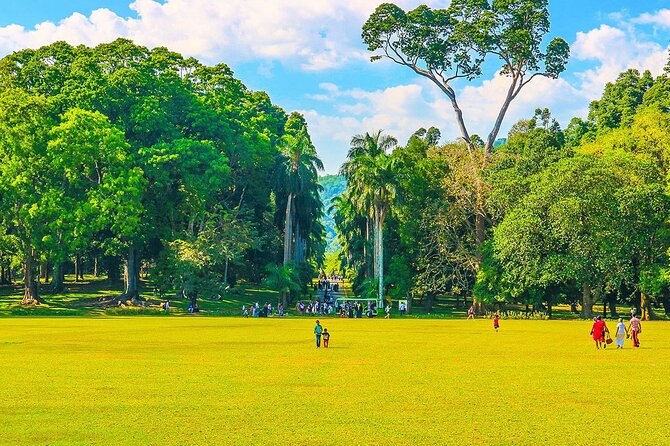 Tailor Made Two Weeks Sri Lanka Holiday with History and Culture - Final Thoughts