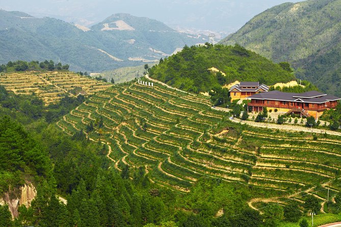 Private Day Tour: Anxi Tea Garden And Hongen Rock From Xiamen - FAQ
