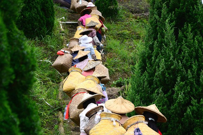 Private Day Tour: Anxi Tea Garden And Hongen Rock From Xiamen - The Sum Up