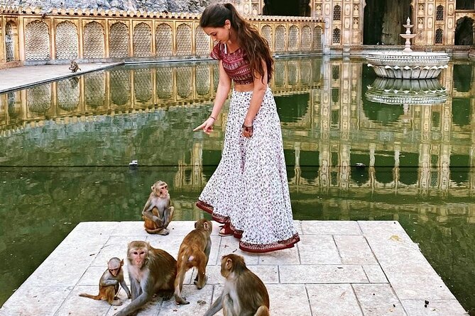 Jaipur Evening Tour with a Visit to the Monkey Temple - Why You Should Consider This Tour