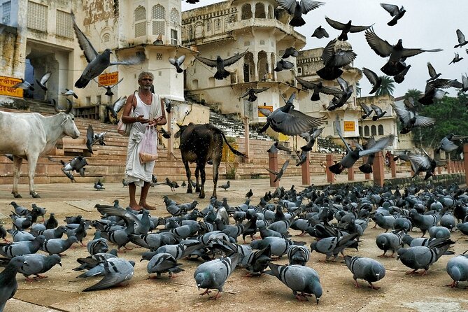 A Day Trip of Pushkar From Jaipur with Guide Service - Final Thoughts