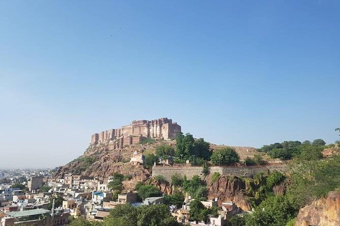 Jaipur Pink City Tour by Car or Tuk-Tuk - Why This Tour Is a Great Choice