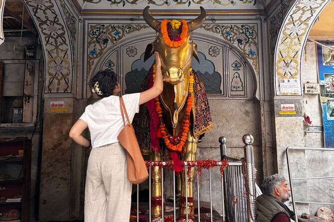 Classic Jaipur 101 Sightseeing, Food and E-Bike Tour - Key Points