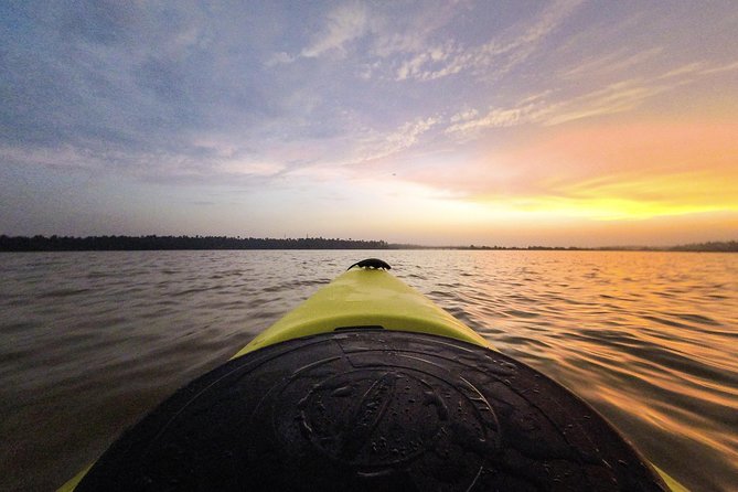 Kayaking to the Black Devil Snail Sandbar Island in Paravur Lake near Varkala - A Detailed Look at the Kayaking to Black Devil Snail Sandbar