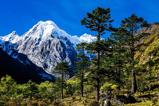 Summit of Silence 9 Day Meili North Face Pass Trek - What Makes This Trek Unique?