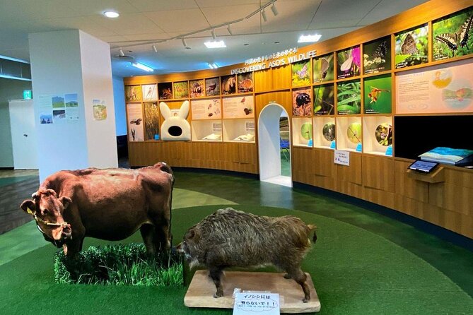 Aso Kusasenrigahama and Kurokawa Onsen Full Day Tour from Fukuoka - Transportation and Group Size