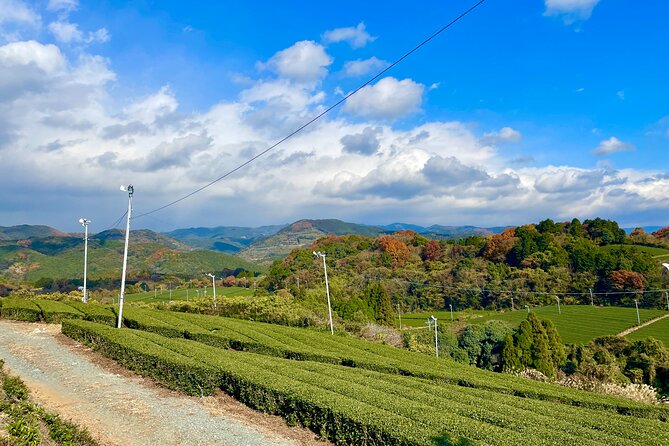 YokaBus Heritage in a Cup of a Yame Tea & Sake Tasting Expedition - Transportation, Duration, and Practical Considerations