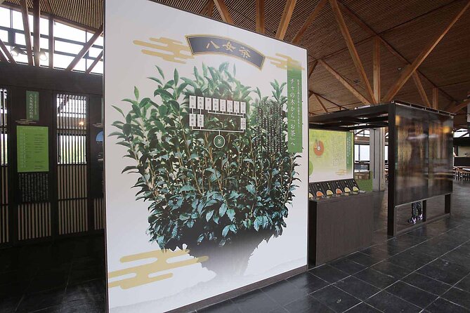 YokaBus Heritage in a Cup of a Yame Tea & Sake Tasting Expedition - Who Should Consider This Tour?