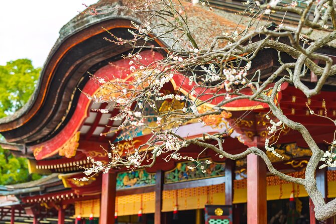 YokaBus Fukuoka Cruise Shore Excursion Dazaifu Half Day Tour - FAQ