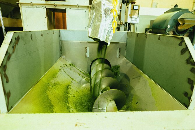 Yanagawa River Cruise and Yame Tea Fukuoka Private Tour - Who Should Consider This Tour?