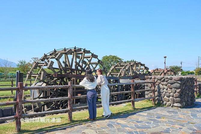 YokaBus Fukuoka Cherry Blossom Famous Spots and Night Sakura Tour - An In-Depth Look at the Tour Itinerary