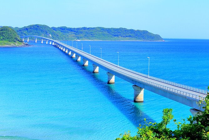 Northern Kyushu Day Tour Akiyoshido Cave and Motonosumi Inari - Who Will Love This Tour?