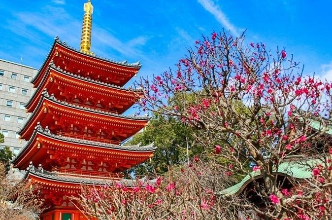 Experience Japan Spirit in Hakata Temple Town - Who Will Love This Tour?