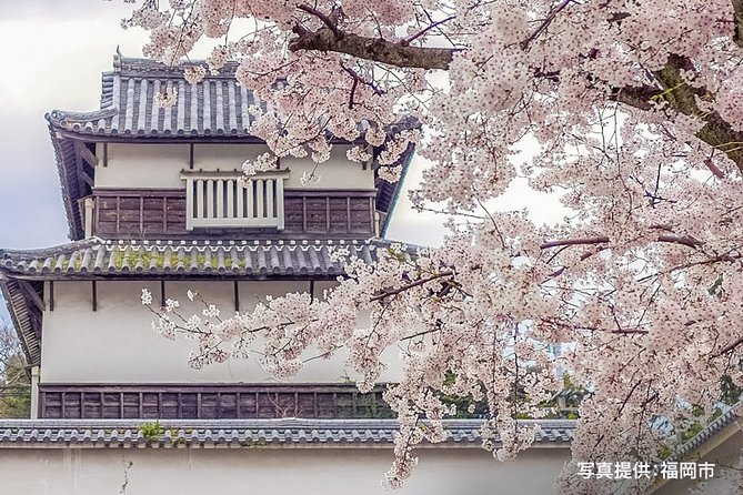 Certified by Fukuoka: A Photogenic Tour to Visit Beautiful Spots with Kimono on! - FAQs