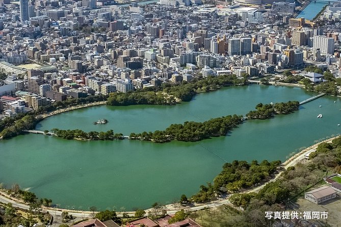 Certified by Fukuoka: A Photogenic Tour to Visit Beautiful Spots with Kimono on! - Who Will Love This Tour?