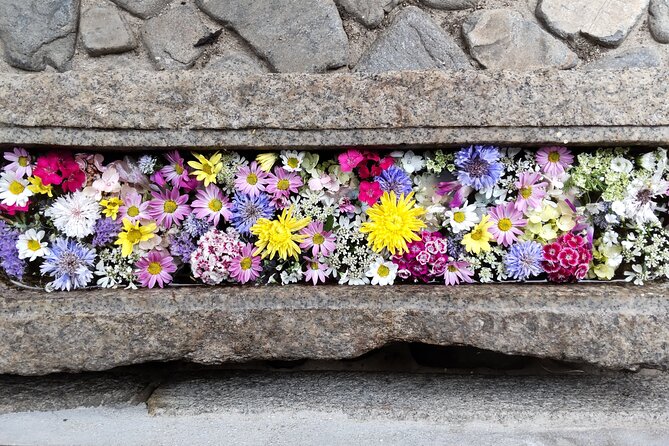 Take a Stroll Back in time at Takehara, Hiroshima's Little Kyoto - FAQ: Your Questions About the Takehara Tour