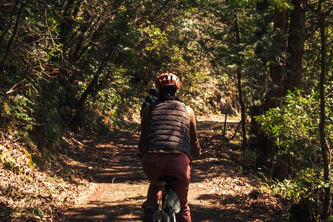 Inaka food and Ebike tour in Yuki - Final Thoughts