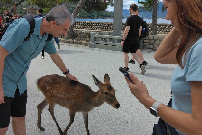 Hiroshima Cruise Pickup : Miyajima & Peace Park Tour with car - Final Thoughts