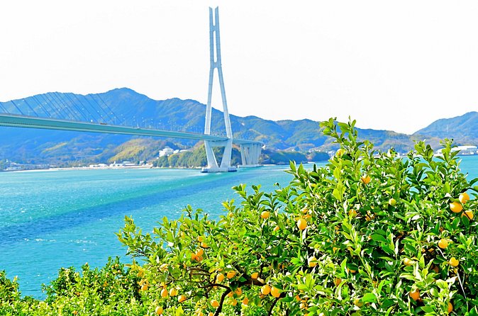 Pedal Through Art Ikuchijima Island Cycling Tour - FAQ