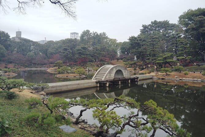 Full Day Hiroshima and Miyajima Tour - Tour Feedback and Ratings