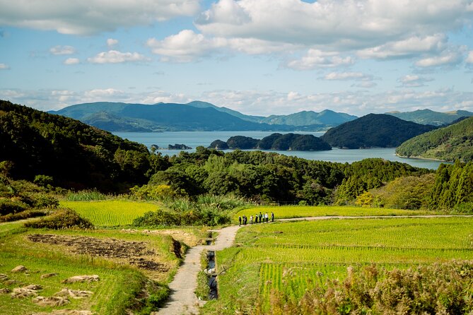 Spectacular terraced rice field walking experience - Detailed Breakdown of the Itinerary