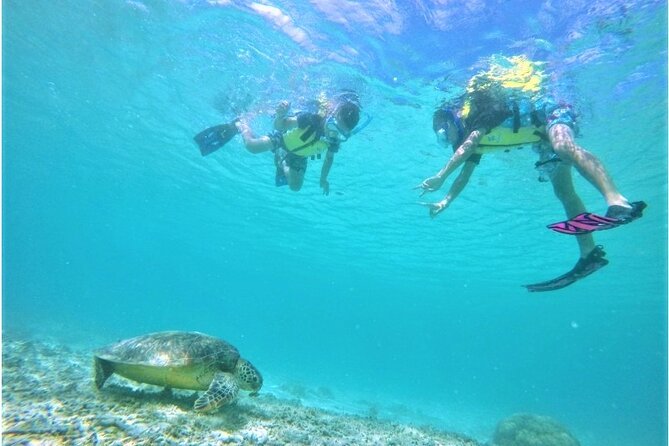 Tokashiki Island Day Trip from Naha - What’s Included and What’s Not