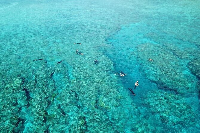 Kerama Snorkeling Tour from Chatan or Naha - Final Thoughts: Is It Worth It?