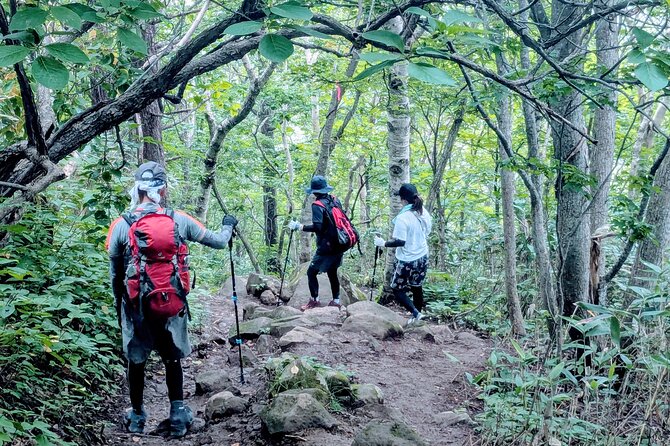 Guided Shioya Maruyama Hike with Scenic Views and Snacks - Practical Tips for Your Hike