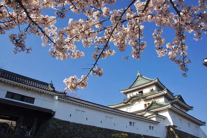 Wakayama Castle Town Walking Tour - Who Will Enjoy This Tour Most?