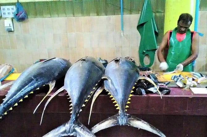 Private Half-Day Local Experience of MaléEnglish/ - The Experience: What Travelers Can Expect