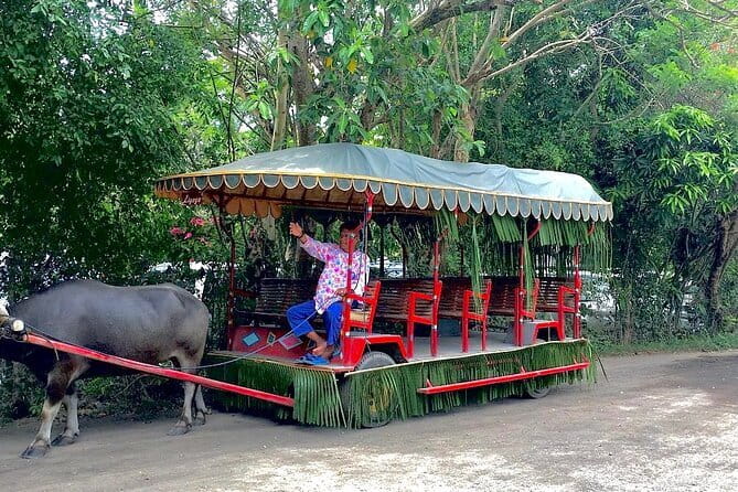 A Day in Paradise at Villa Escudero Coconut Plantation Adventure - Good To Know