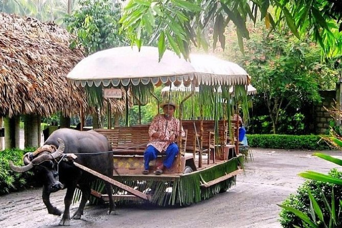 Cruise Shore Excursion of Villa Escudero with Lunch - Why This Tour Works Well