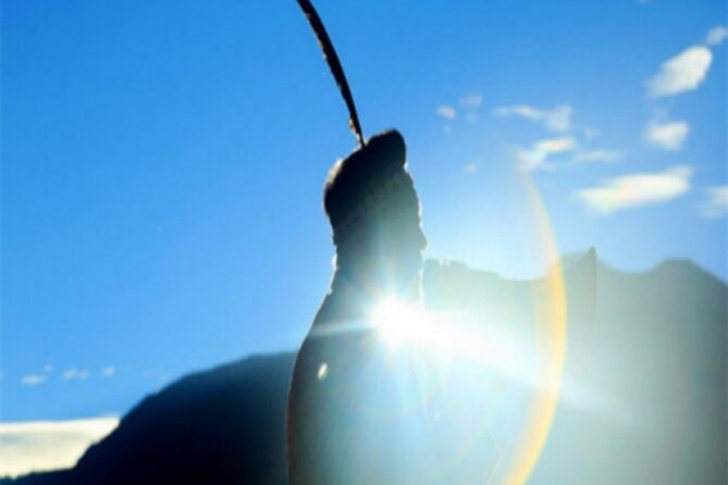 Between Cloud Sea and Ancient Woods Alishan Awaits - Who Would Love This Tour?