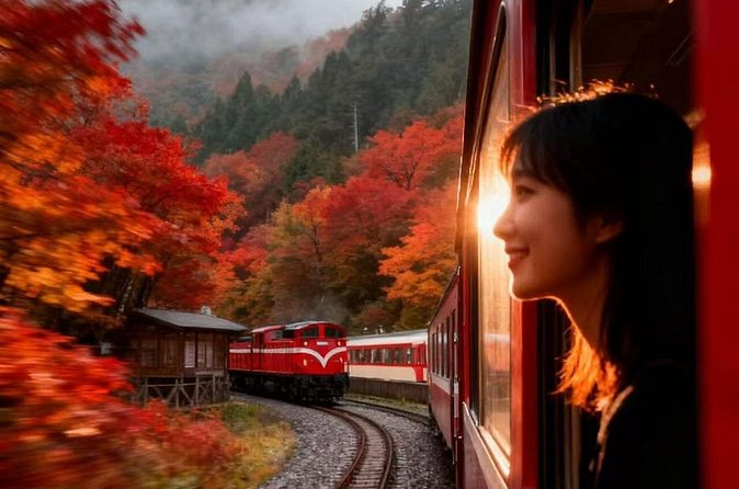 Between Cloud Sea and Ancient Woods Alishan Awaits - Who Is This Tour Best Suited For?