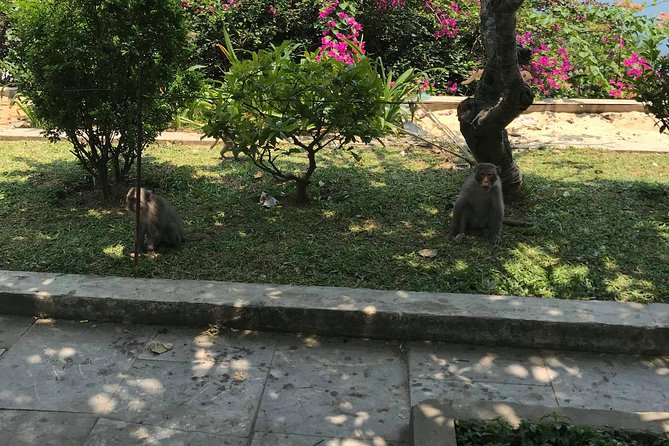 HALF DAY PRivate Tour Marble Mountain and Linh Ung Pagoda from DA NANG - Authentic Experiences: What Reviewers Say