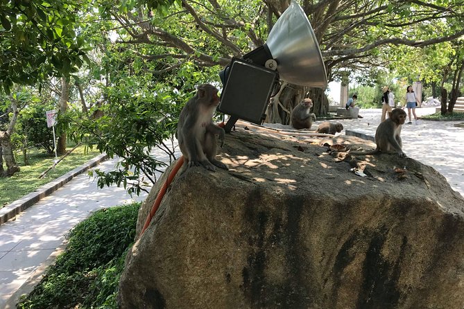 HALF DAY PRivate Tour Marble Mountain and Linh Ung Pagoda from DA NANG - FAQ