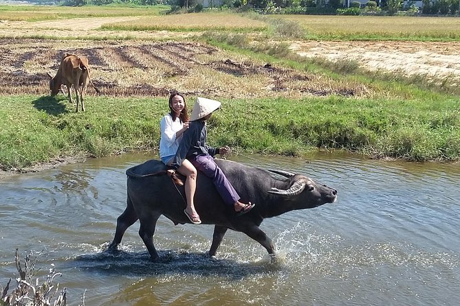 Buffalo Riding and basket boat tour from Da Nang/ Hoi An - Key Points