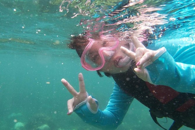 Kayak and Snorkel Tour Half Day - Why This Tour Stands Out