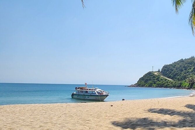 Cham Island Snorkeling Day Trip from Da Nang or Hoi An - The Itinerary: What to Expect from Dawn to Dusk