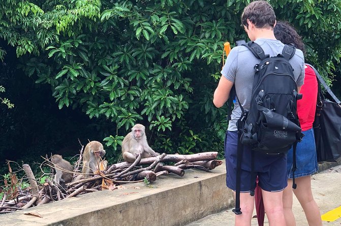 Hoi An or Da Nang to Golden Bridge, SonTra Monkey Mountain, Marble Mountain - Why This Tour Works and Who It’s For