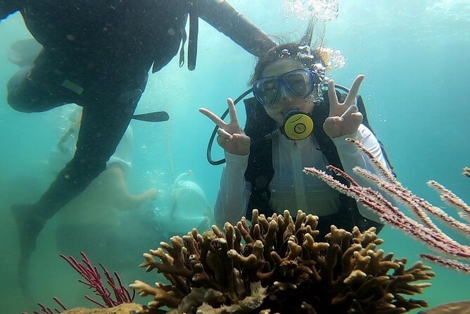 Exploring Coral Reef Snorkeling and Floating Bar Party Nha Trang - Key Points