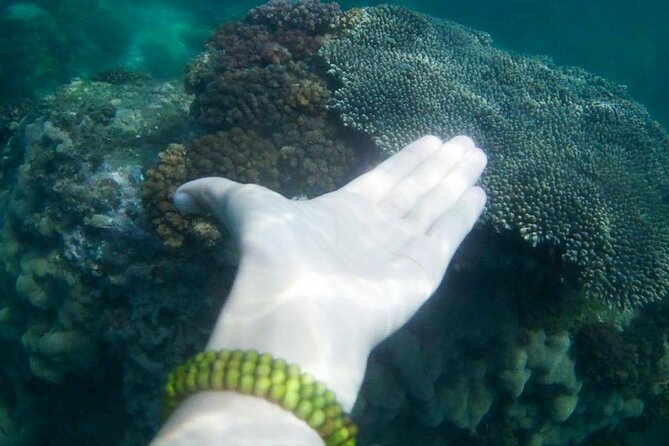 Nha Trang: Private fishing tour: Snorkeling - Fishing -Mini Beach - Final Thoughts