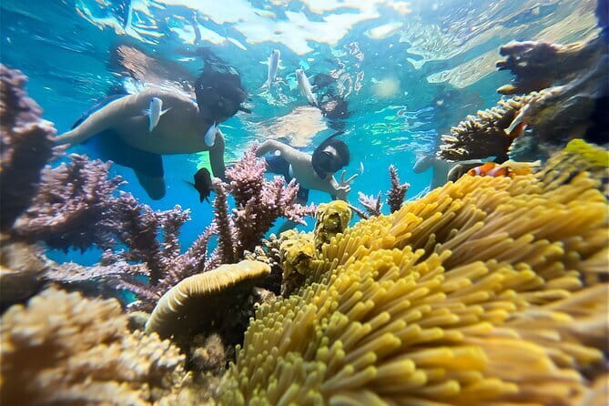 Snorkeling at m By island - Final Thoughts