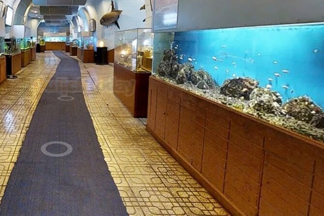 Nha Trang Half Day Tour: Best Highlights & Secret Spots - Final thoughts: Is it worth it?