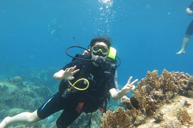 Discover Nha Trang Bay with Scuba Diving Tour - Key Points