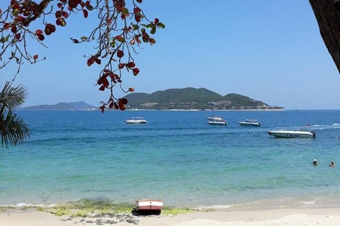 Private Nha Trang City Tour from Cruise Port - Authentic Experiences and Authentic Food