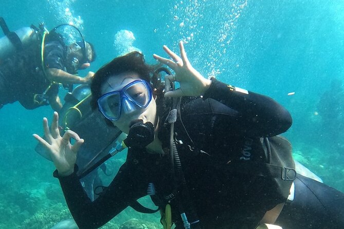 Scuba Diving Experience in Nha Trang Bay - Overview of the Nha Trang Bay Scuba Tour