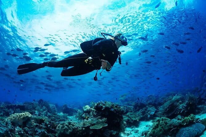 Experience Nha Trang Scuba Diving with Certified Dive - Discover Nha Trangs Underwater World with Certified Dive Experiences